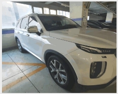  2025Ÿ��58180 ���ν� ���ﱸ ������ 117, 6�� �ɸ�������(������)     �������