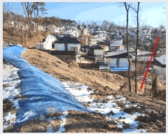  2025Ÿ��517  �Ӿ߰��