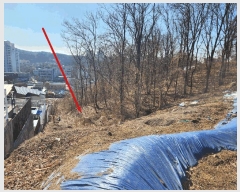  2025Ÿ��517  �Ӿ߰��