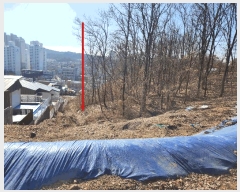  2025Ÿ��517  �Ӿ߰��