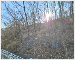  2025Ÿ��517  �Ӿ߰��