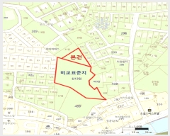  2025Ÿ��517  �Ӿ߰��