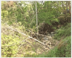  2025Ÿ��1021 ��� ���ν� ó�α� ����� �״ɸ� ��27-36     ����(�Ӿ�)���