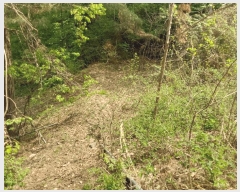  2025Ÿ��1021 ��� ���ν� ó�α� ����� �״ɸ� ��27-36     ����(�Ӿ�)���