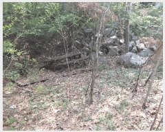  2025Ÿ��1021 ��� ���ν� ó�α� ����� �״ɸ� ��27-36     ����(�Ӿ�)���