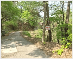  2025Ÿ��1021 ��� ���ν� ó�α� ����� �״ɸ� ��27-36     ����(�Ӿ�)���