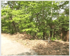  2025Ÿ��1021 ��� ���ν� ó�α� ����� �״ɸ� ��27-36     ����(�Ӿ�)���