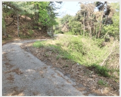  2025Ÿ��1021 ��� ���ν� ó�α� ����� �״ɸ� ��27-36     ����(�Ӿ�)���