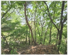  2025Ÿ��1021 ��� ���ν� ó�α� ����� �״ɸ� ��27-36     ����(�Ӿ�)���