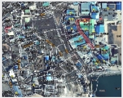  2025Ÿ��1159  ���ΰ��