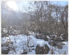  2025Ÿ��53092 ��� ���ν� ������ ��õ�� ��82-3      ����(�Ӿ�)���