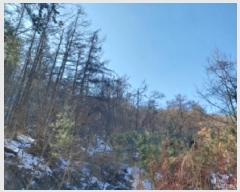  2025Ÿ��53092 ��� ���ν� ������ ��õ�� ��82-3      ����(�Ӿ�)���