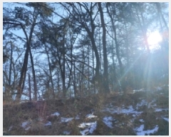  2025Ÿ��53092 ��� ���ν� ������ ��õ�� ��82-3      ����(�Ӿ�)���