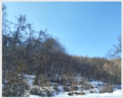  2025Ÿ��53092 ��� ���ν� ������ ��õ�� ��82-3      ����(�Ӿ�)���