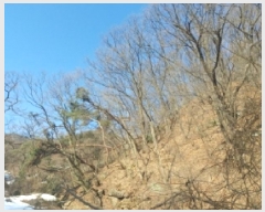  2025Ÿ��53092 ��� ���ν� ������ ��õ�� ��82-3      ����(�Ӿ�)���