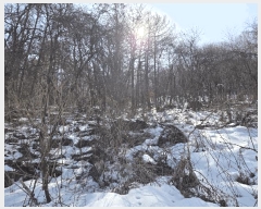  2025Ÿ��53092 ��� ���ν� ������ ��õ�� ��82-3      ����(�Ӿ�)���