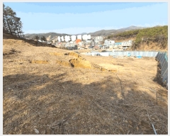  2025Ÿ��54769  �Ӿ߰��