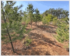  2025Ÿ��54769  �Ӿ߰��