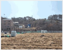  2025Ÿ��54769  �Ӿ߰��