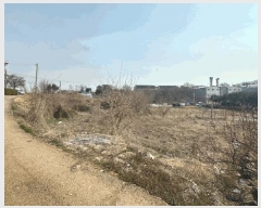  2025Ÿ��54954 ��� ȭ���� ������ �Ѱ��� 381-1      ����(����)���