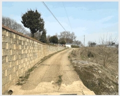  2025Ÿ��54954 ��� ȭ���� ������ �Ѱ��� 381-1      ����(����)���