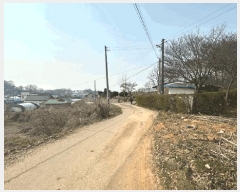  2025Ÿ��54954 ��� ȭ���� ������ �Ѱ��� 381-1      ����(����)���