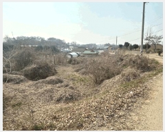  2025Ÿ��54954 ��� ȭ���� ������ �Ѱ��� 381-1      ����(����)���