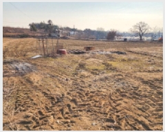  2025Ÿ��52143  ����