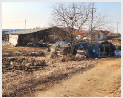  2025Ÿ��52143  ����