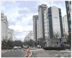  2025Ÿ54392   Ǽ ȣŽǵ 1388 ȣŽǰ泲Ƴʽ 1519 101002ȣ   Ʈ