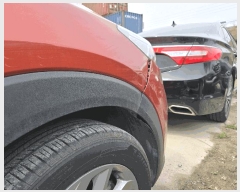  2025Ÿ��54425  �������