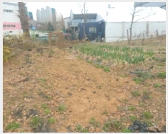  2025Ÿ��55159 ��� ����� ���� 576-10       ����(��1)���