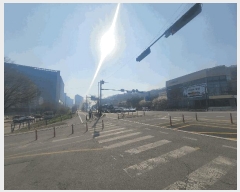  2025Ÿ��55339  ����Ʈ���