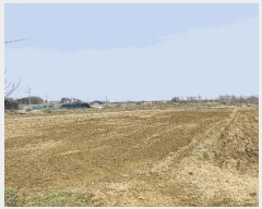  2025Ÿ��55443 ��� ȭ���� ������ ȣ� 744-1      ����(��)���