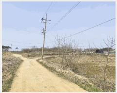  2025Ÿ��55443 ��� ȭ���� ������ ȣ� 744-1      ����(��)���