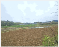  2025Ÿ��55487 ��� ȭ���� ������ û���� 631      ����(��)���