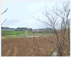  2025Ÿ��55487 ��� ȭ���� ������ û���� 631      ����(��)���