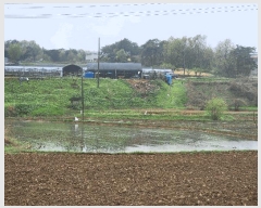  2025Ÿ��55487 ��� ȭ���� ������ û���� 631      ����(��)���