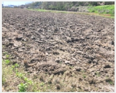  2025Ÿ��55487 ��� ȭ���� ������ û���� 631      ����(��)���