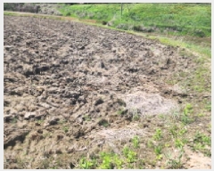  2025Ÿ��55487 ��� ȭ���� ������ û���� 631      ����(��)���