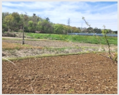  2025Ÿ��55487 ��� ȭ���� ������ û���� 631      ����(��)���