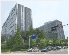  2025Ÿ��55819 ��� ���ν� ���ﱸ �󼭵� 455 �����̾�����ĳ�����Ｍõ 1����133ȣ    ��,�繫�ǰ��