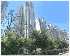  2025Ÿ��55860 ��� ȭ���� ������ �Ϳ츮 591 �����޸պ� 104�� 21��2104ȣ   ����Ʈ���