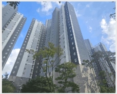  2025Ÿ��56780  ����Ʈ���