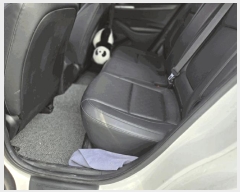  2025Ÿ55106   Ǽ ȭ 17, ī()     