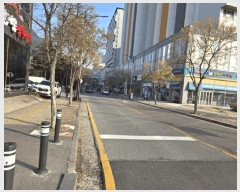  2025Ÿ��55398 ��� ȭ���� �ɵ� 1065-1 ��ź�츮��  17��1728ȣ    ���ǽ��ڰ��