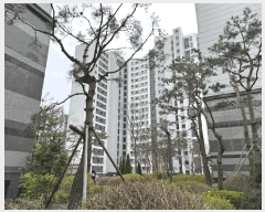  2025Ÿ��55411 ��� ������ �ȴޱ� ��� 310 ������Ǫ���������� 133�� 15��1504ȣ   ����Ʈ���