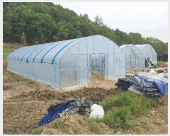  2025Ÿ��55702 ��� ȭ���� ����� ������ 3      ����(��1)���