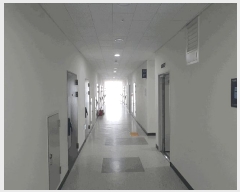  2025Ÿ��1127 ��� ������ ���뱸 ��õ�� 627 �����׶�Ÿ������ 13����1317ȣ    ����Ʈ��������