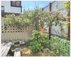  2025Ÿ��1153 ��� ���ν� ó�α� ������ ������ 109-50     ���ð��